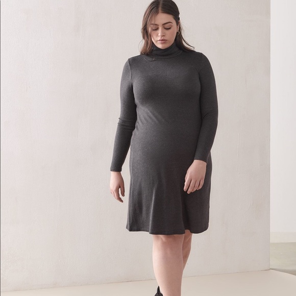 Addition Elle Dresses & Skirts - Addition Elle, NWT A-Line Dress, Turtleneck
